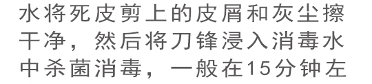 死皮剪