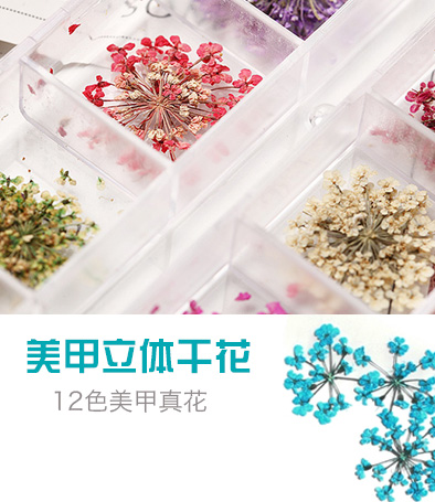 美甲款式 超仙 干花 飾品 一盒12色全色