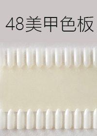 48色色板甲片X1排