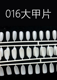 型號016大甲片x5排
