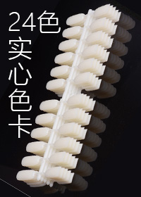24色平底實心甲片x5排