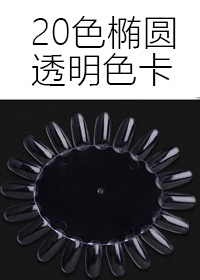 20橢圓透明色卡x5排