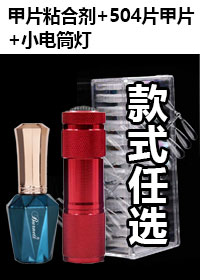 甲片粘合劑+504片甲片（款式任選）+小電筒燈