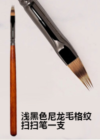 淺黑色尼龍毛格紋掃掃筆一支